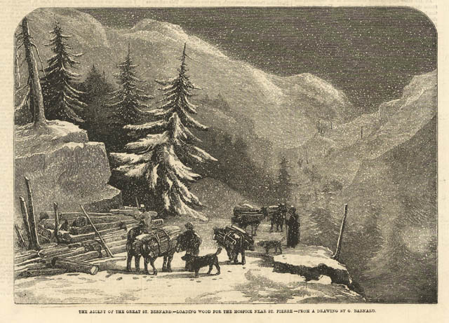 The ascent of the Great St: Bernard - Loading wood …