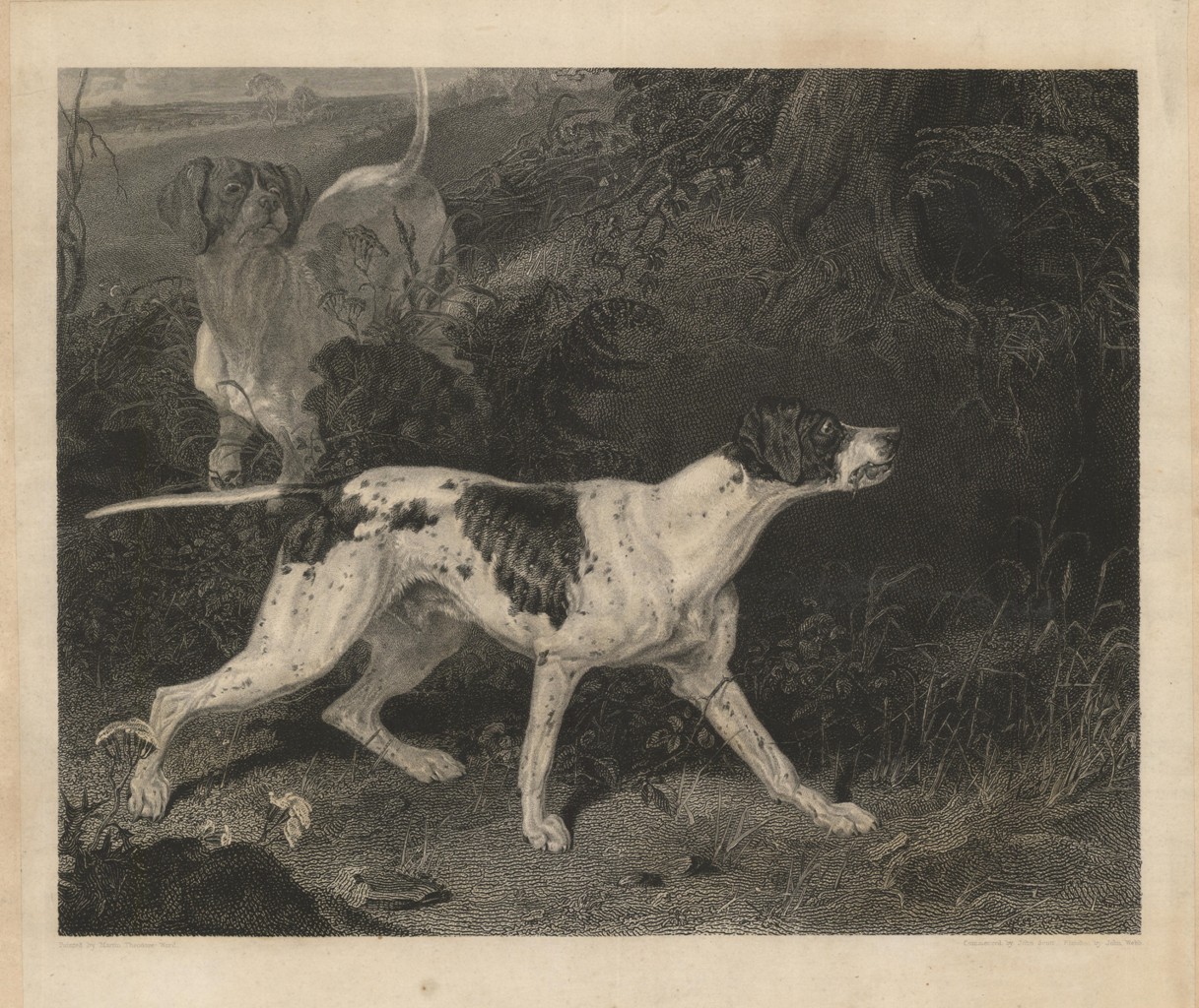 The Pointer (senza titolo avaanti lettera)