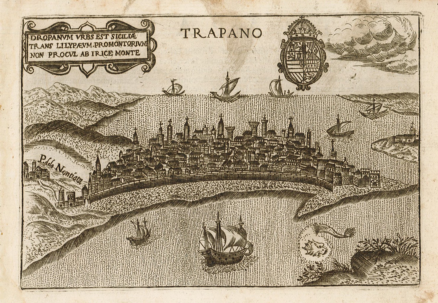 Trapano