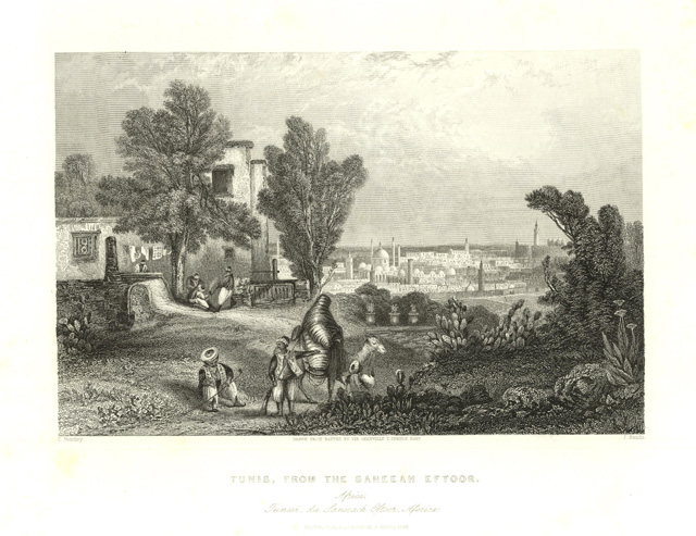 Tunis, from the Saneeah EftoorTunisi