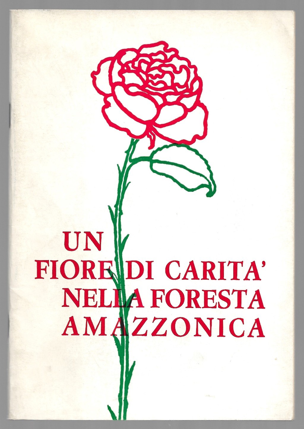 Un fiore di carità nella foresta amazzonica