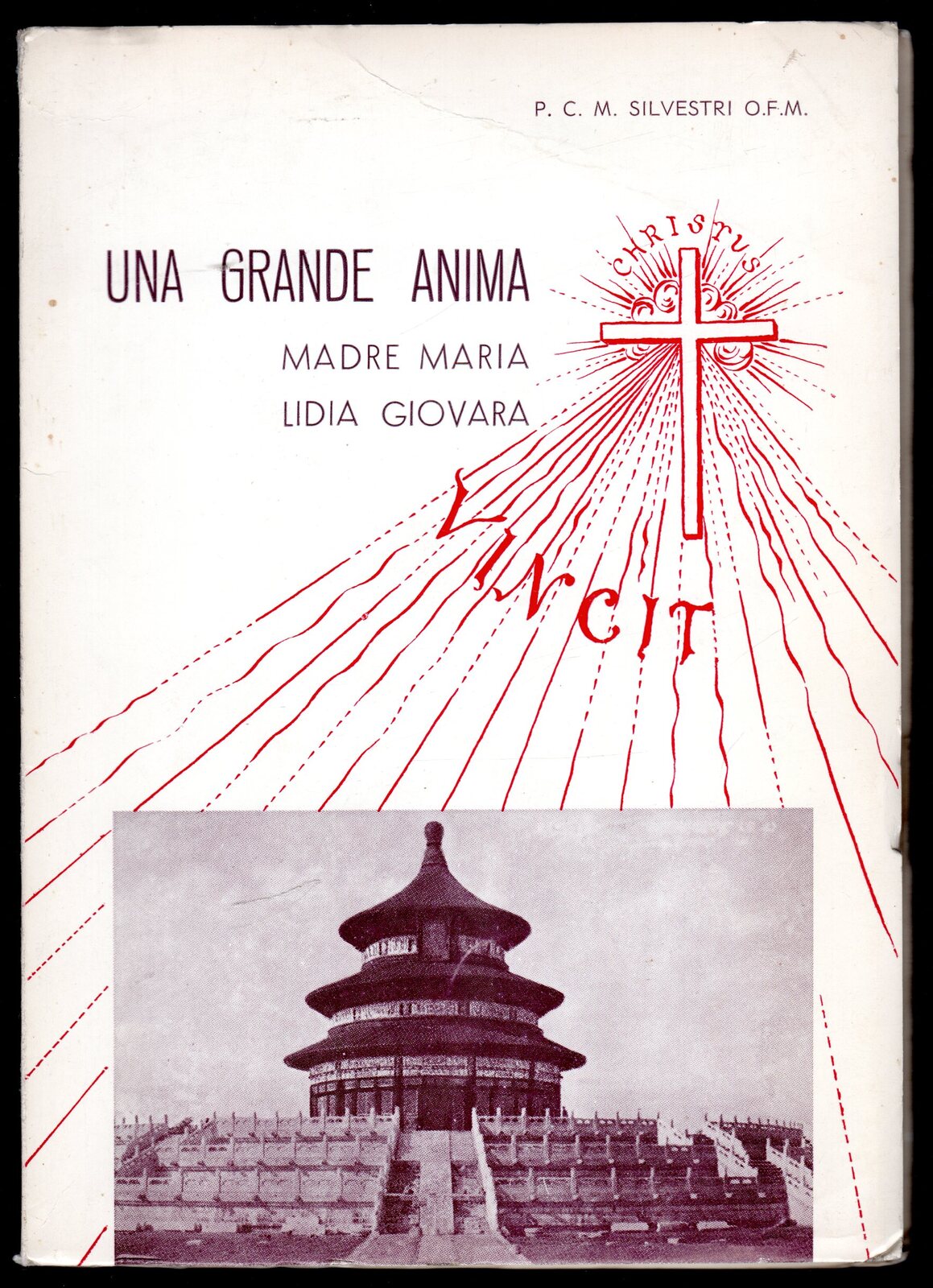Una grande anima. Madre Maria Lidia Giovara. Francescana missionaria in …