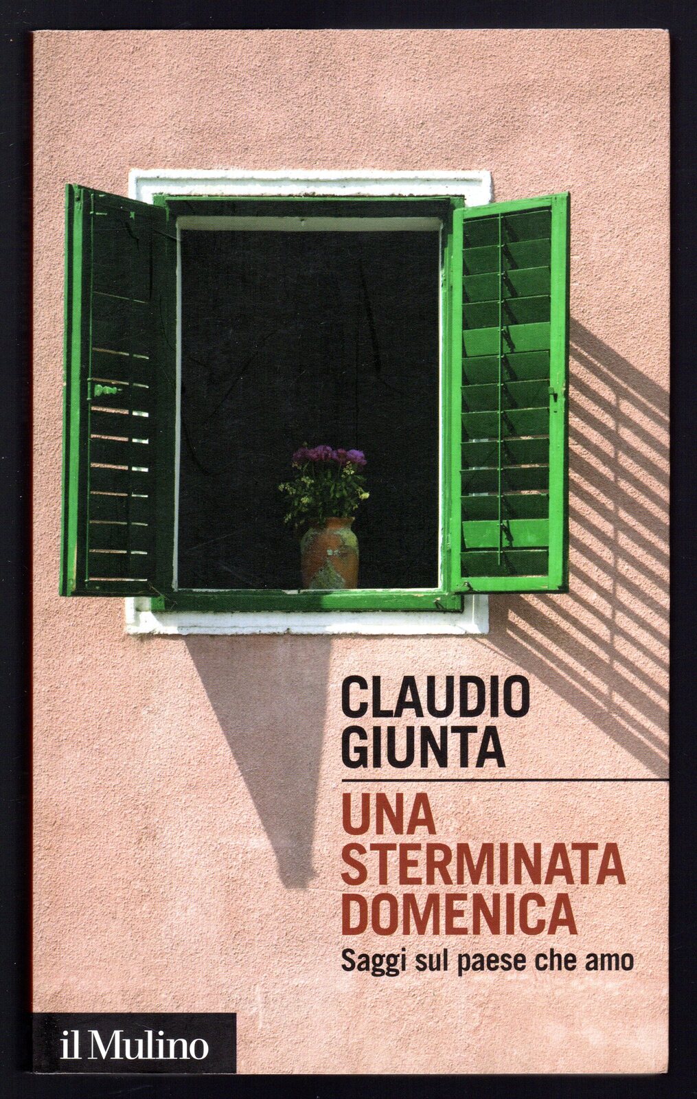 Una sterminata domenica. Saggi sul paese che amo