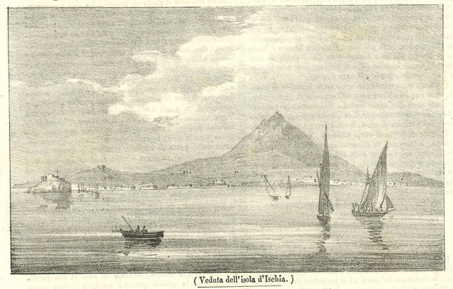 Veduta dell'isola dIschia