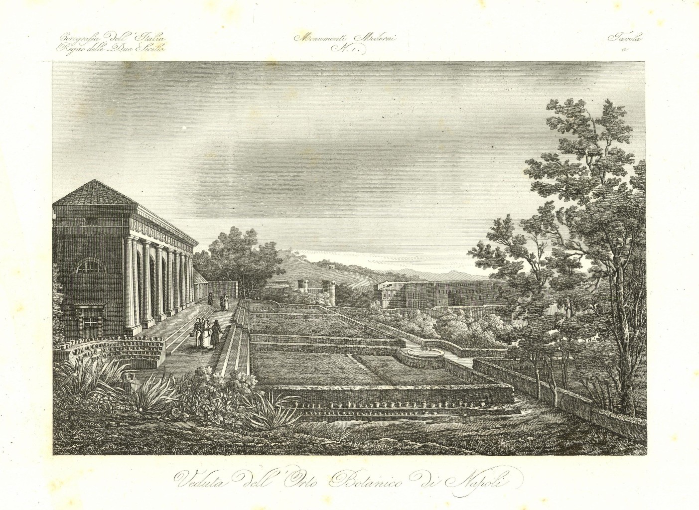 Veduta dell'Orto Botanico di Napoli