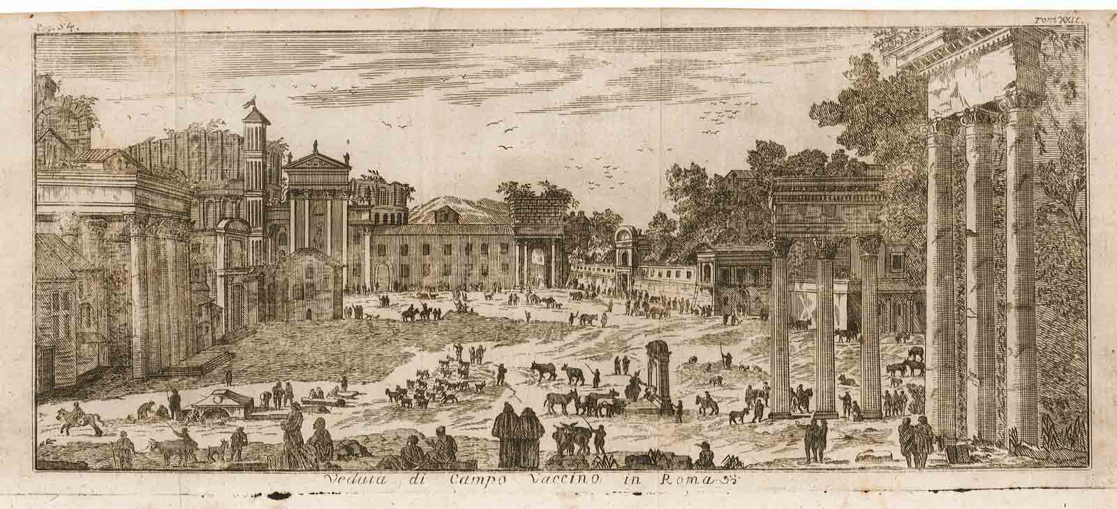 Veduta di Campo Vaccino in Roma.