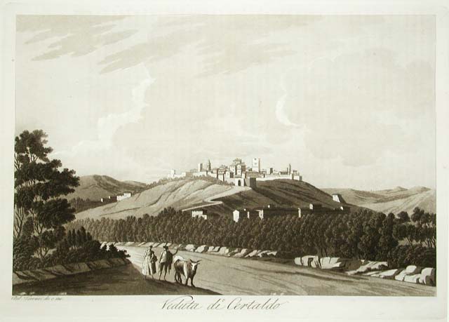Veduta di Certaldo