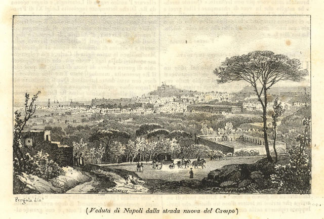Veduta di Napoli dalla strada nuova del Campo