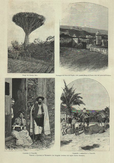 Vedute e Costumi di Teneriffa