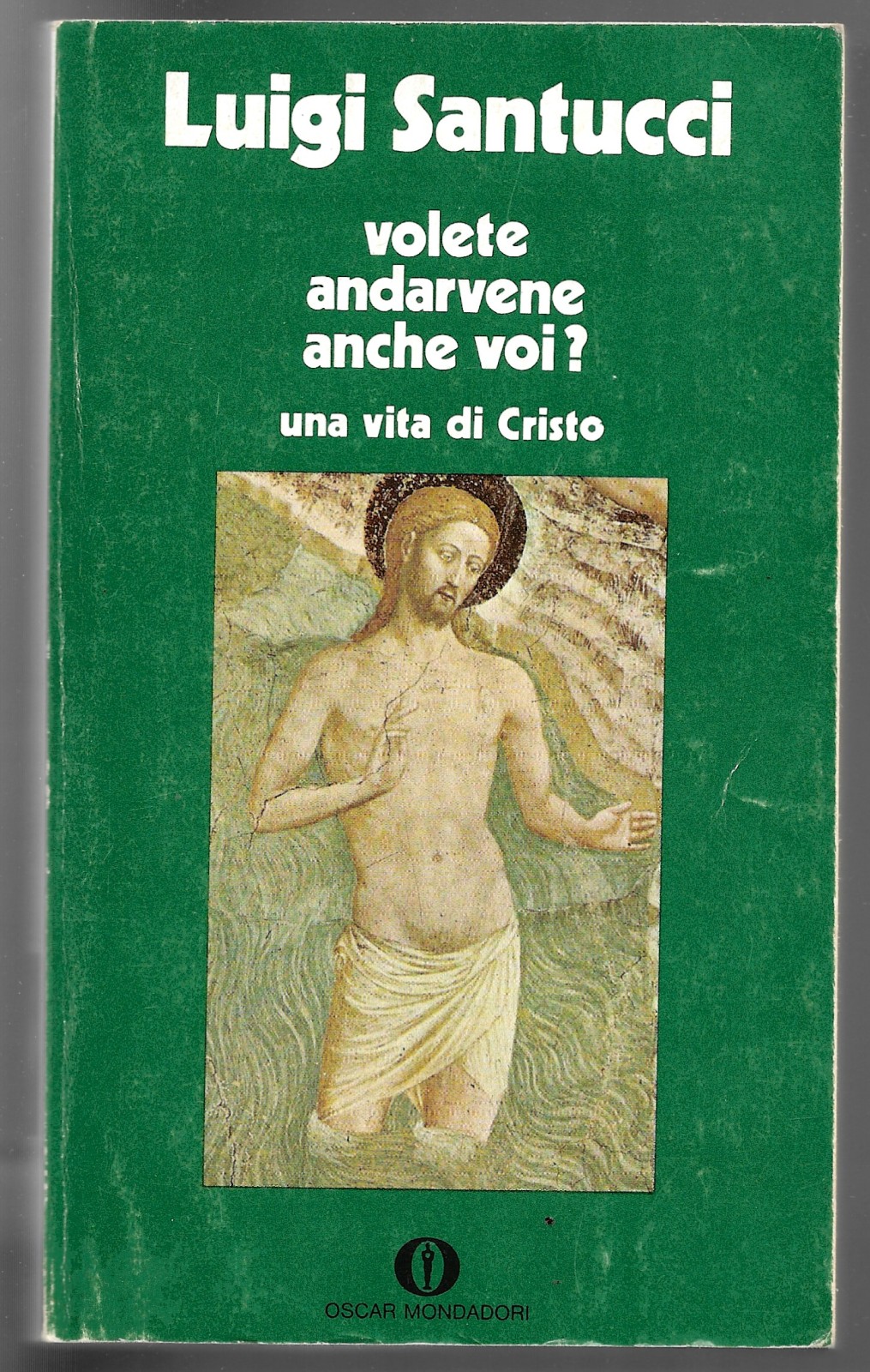 Volete andarvene anche voi? - Una vita di Cristo