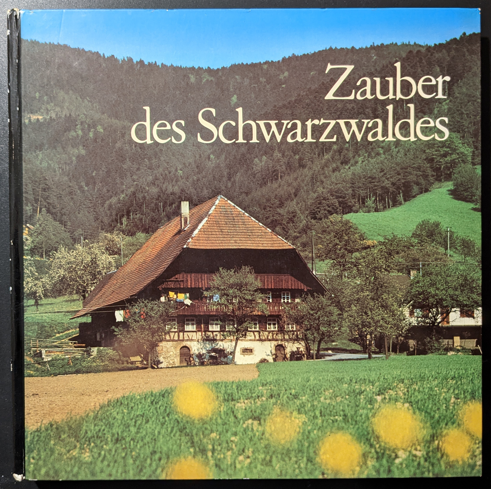 Zauber des Schwarzwaldes