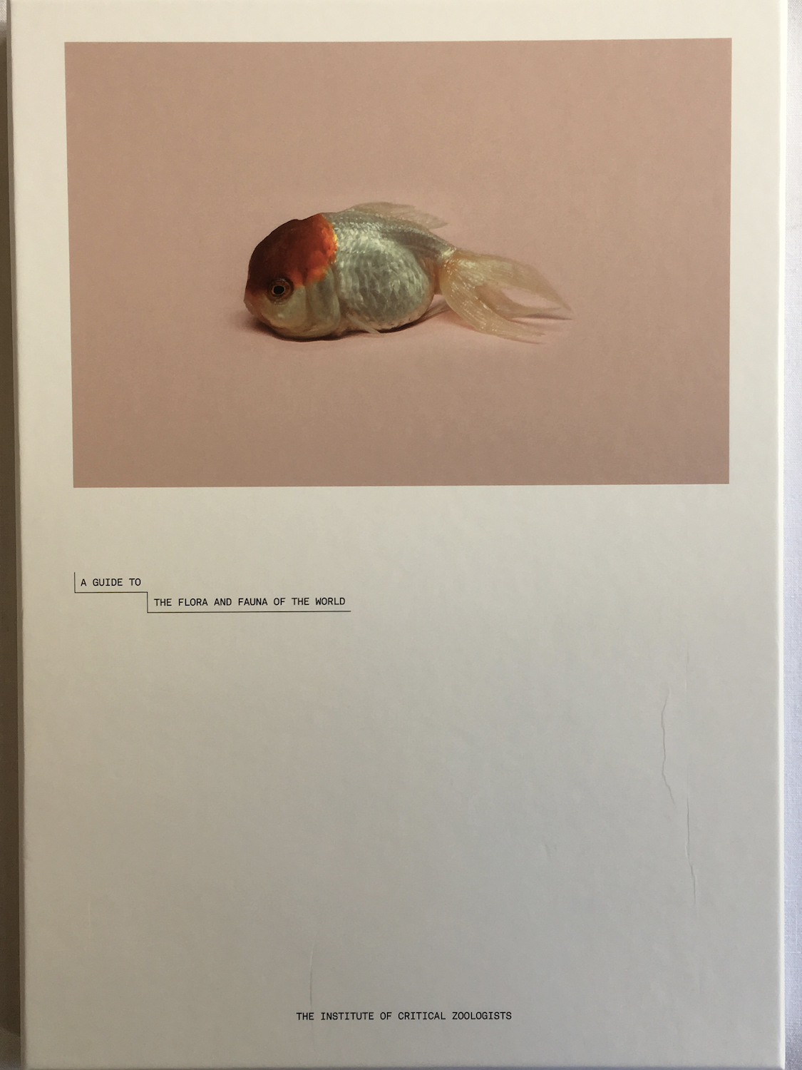 A Guide to the Flora and Fauna of the World