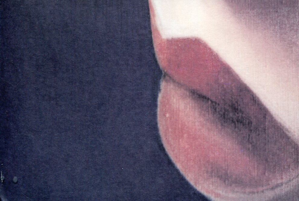 Adriana Civitarese. Cinque ritratti dipinti nel 1999