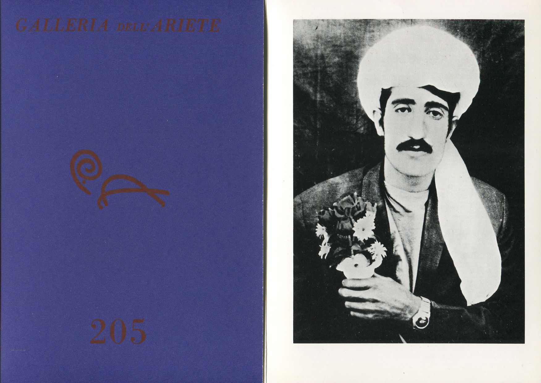 Afghanistan. Kilim, ikat ed altre cose