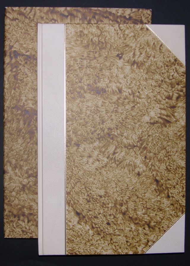 Alcune memorie dei fatti di Leonardo da Vinci a Milano …