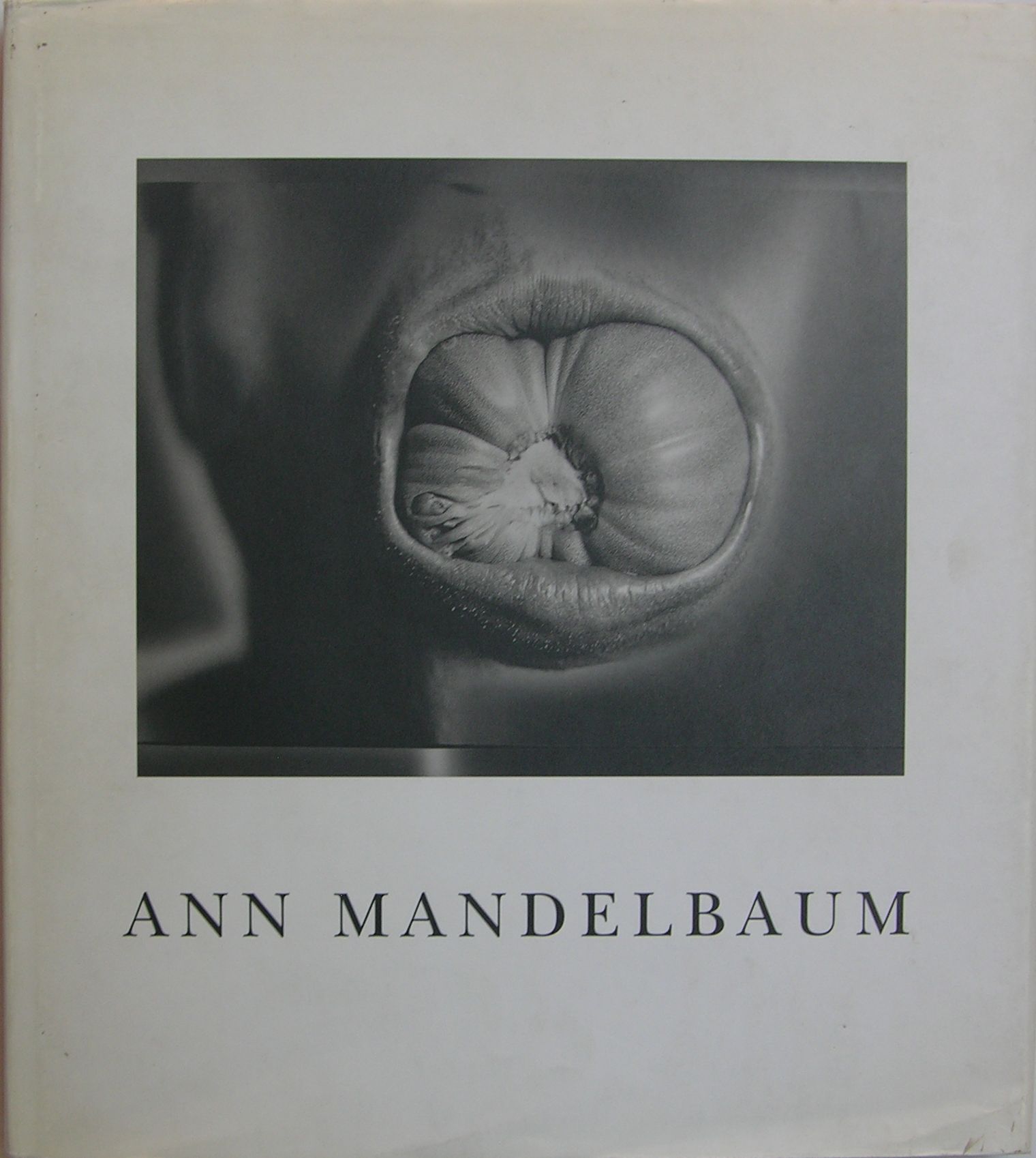 Ann Mandelbaum