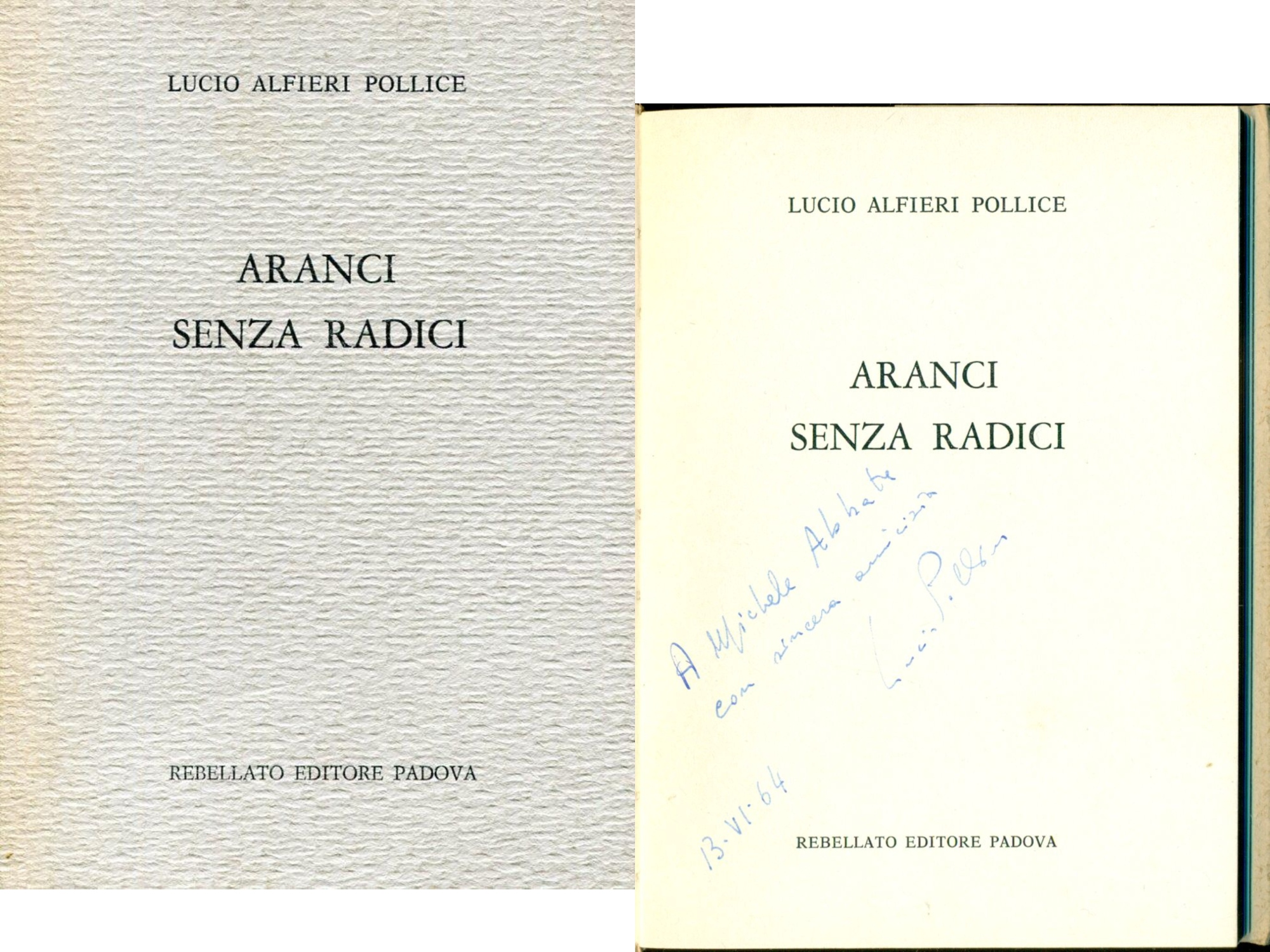 Aranci senza radici
