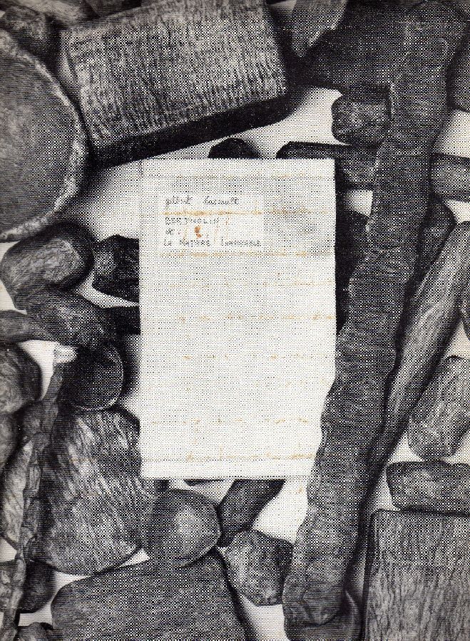 Bertholin et la matière inavouable (Documents, récits)