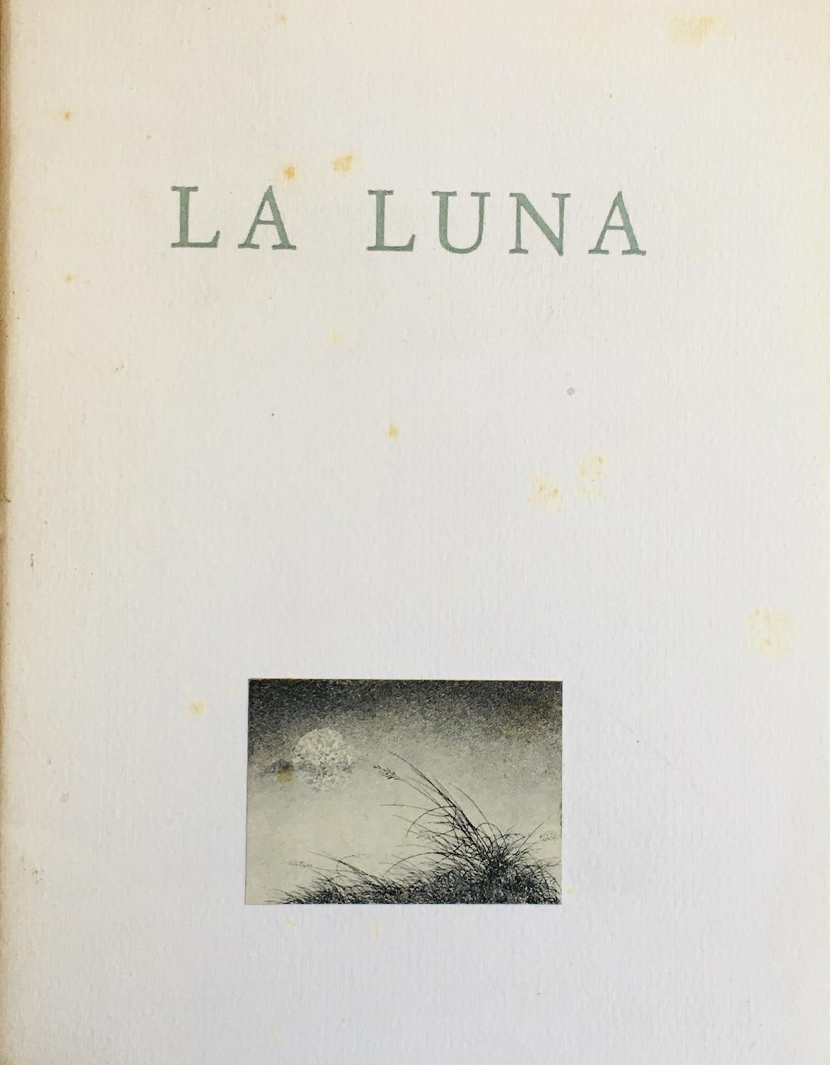 Cecco Ceccherini. La Luna