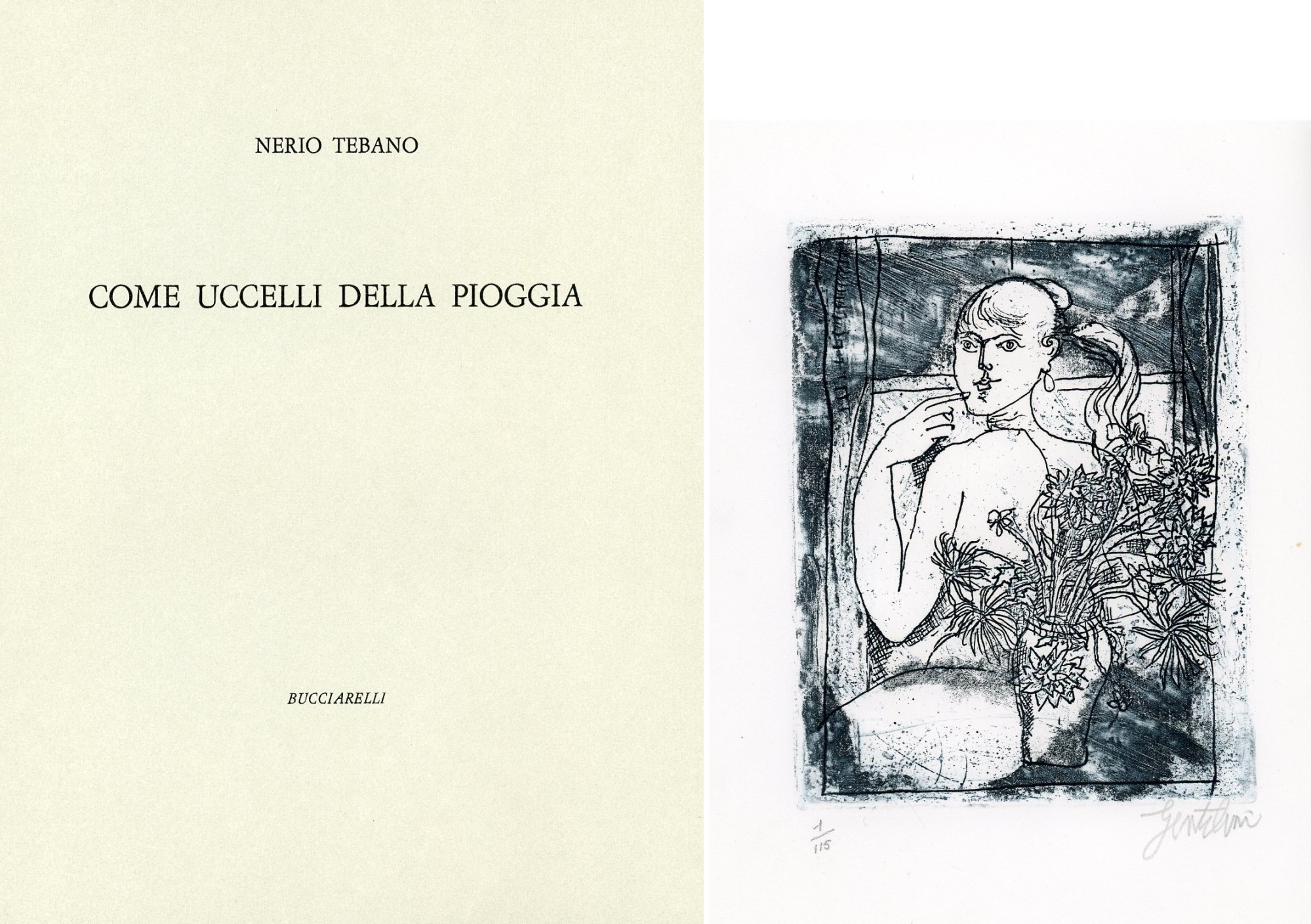 Come uccelli nella pioggia