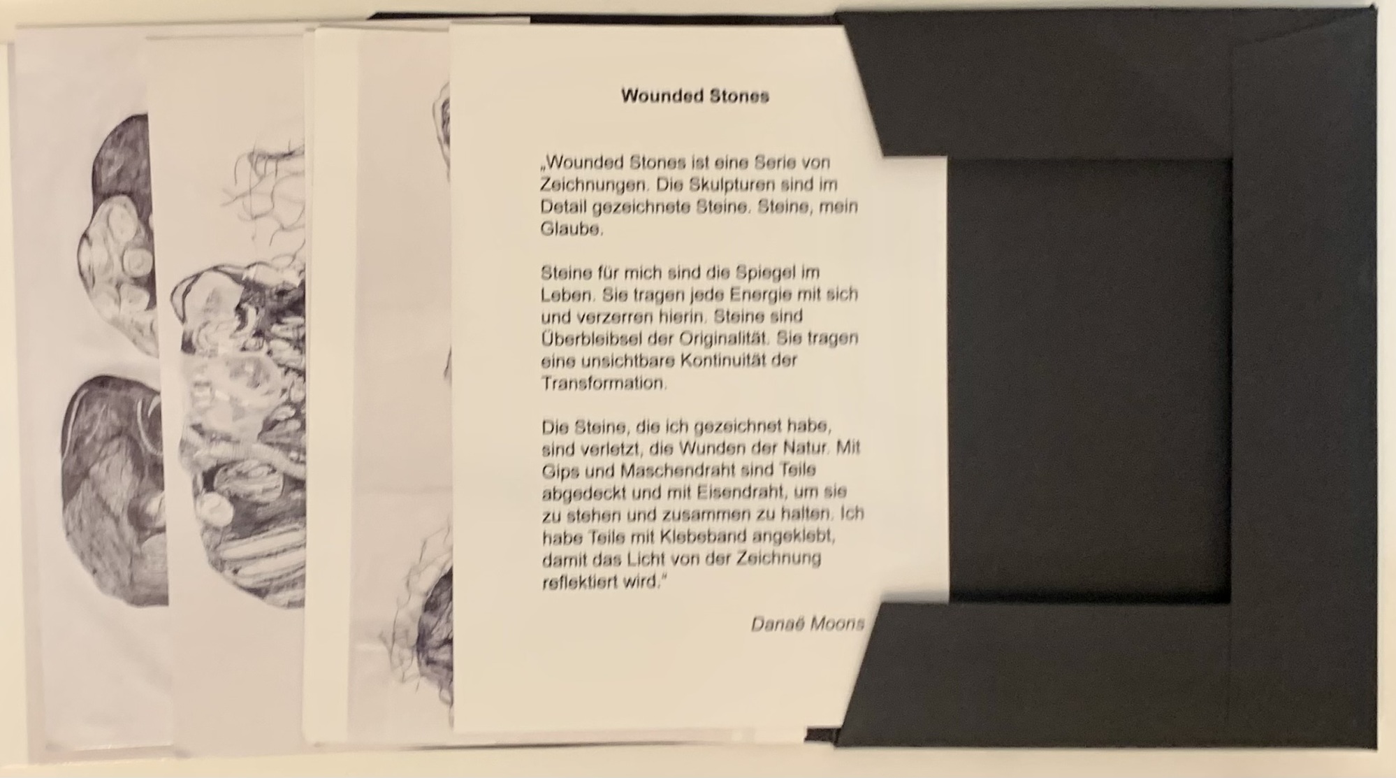 Danae Moons. Wounded Stones