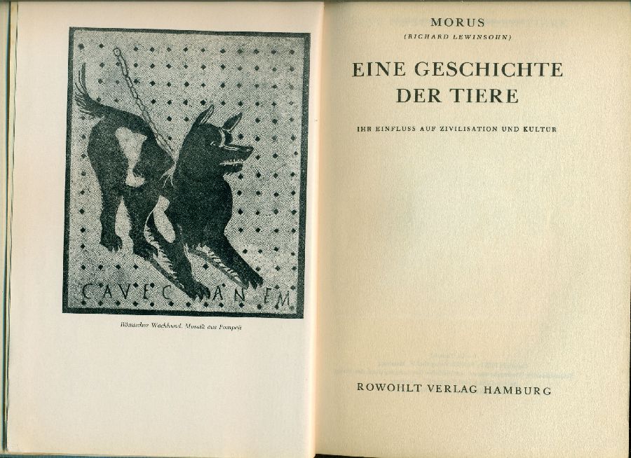 Eine geschichte der tiere