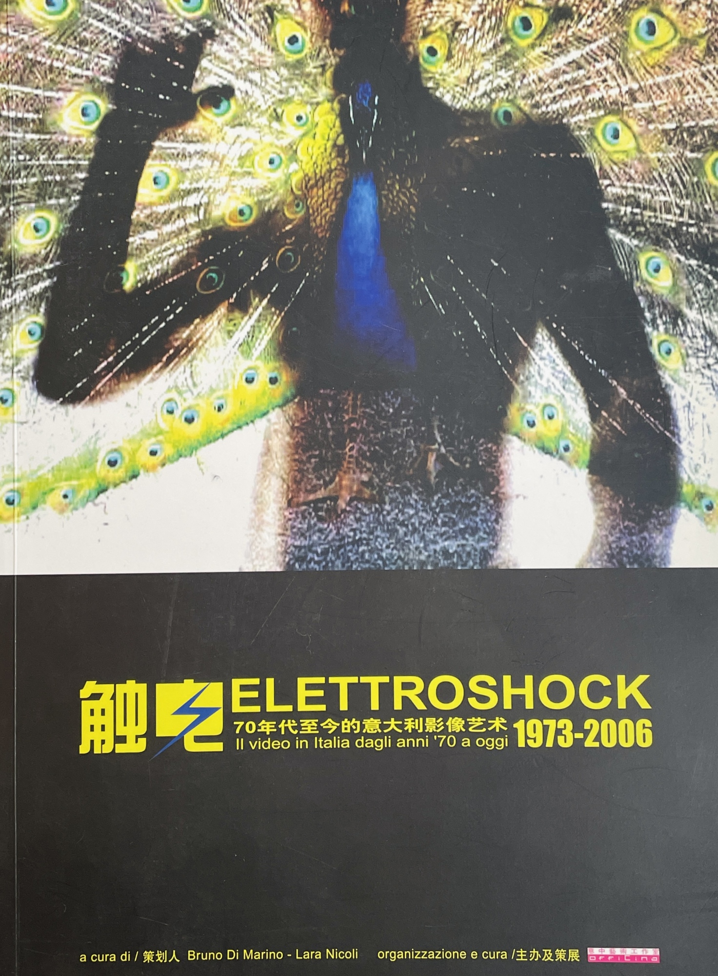 Elettroshock. Il Video in Italia dagli anni '70 a oggi …