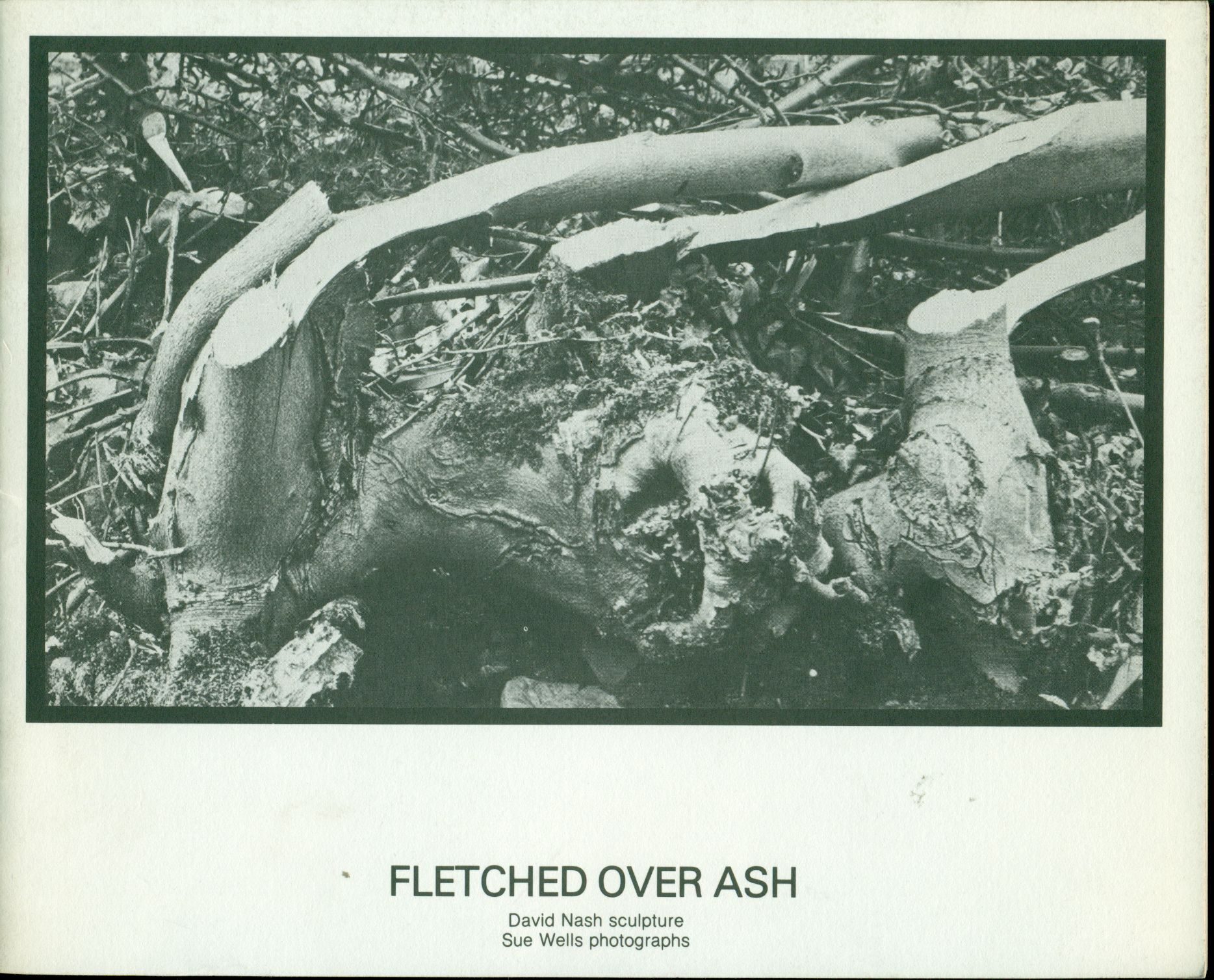 Fletched over ash. David Nash sculpture