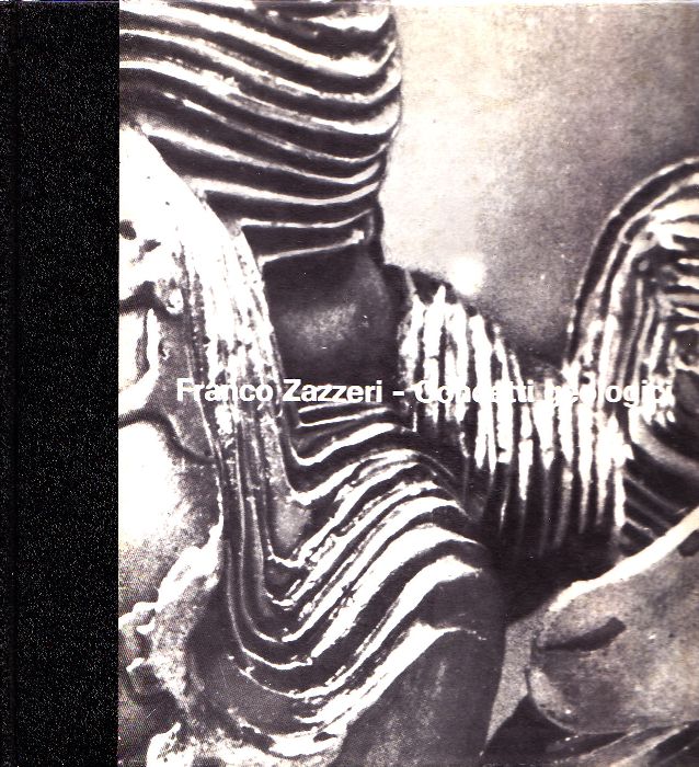 Franco Zazzeri. Concetti geologici