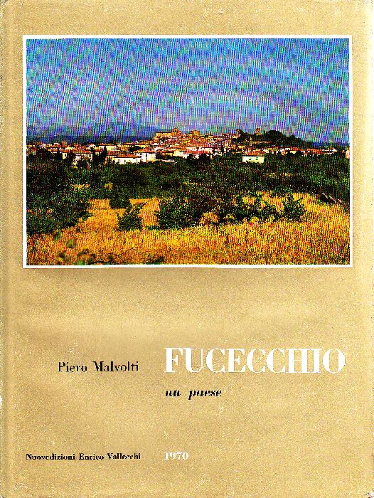Fucecchio. Un paese