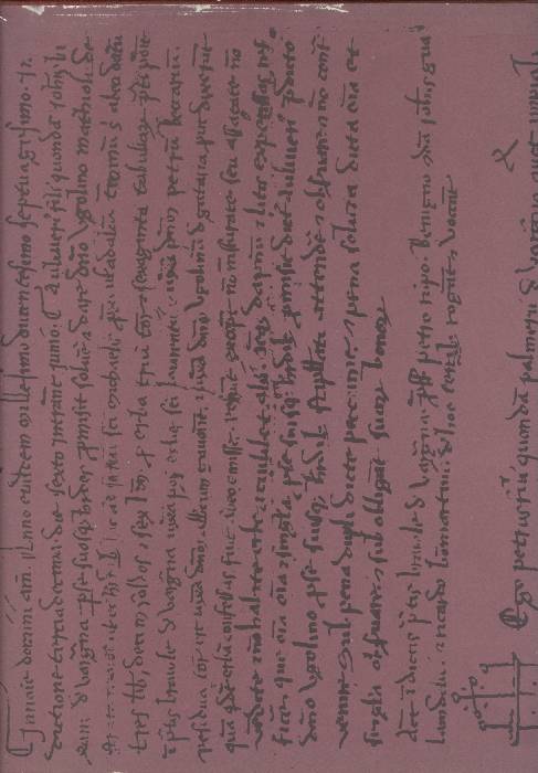 I cinquecento anni del Monte di Bologna