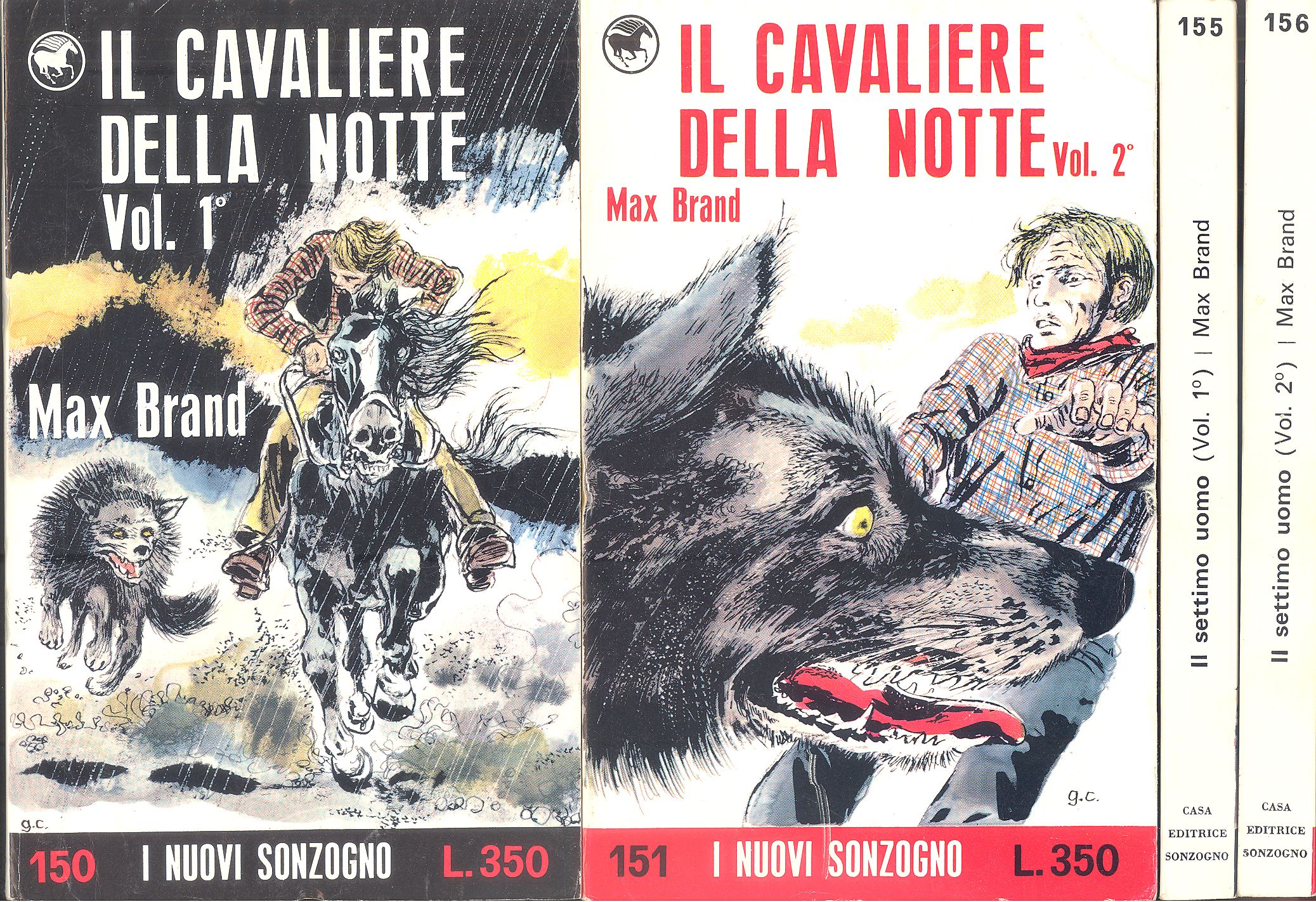 Il cavaliere della notte