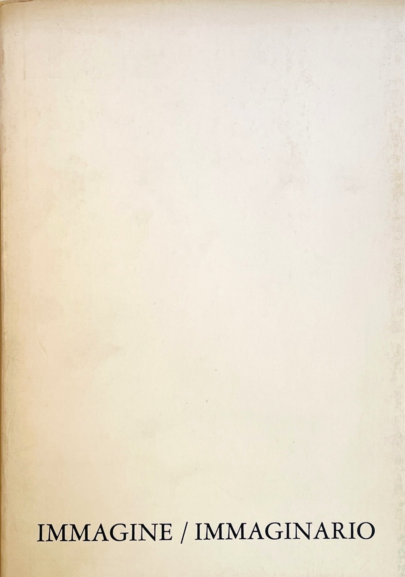 Immagine / Immaginario