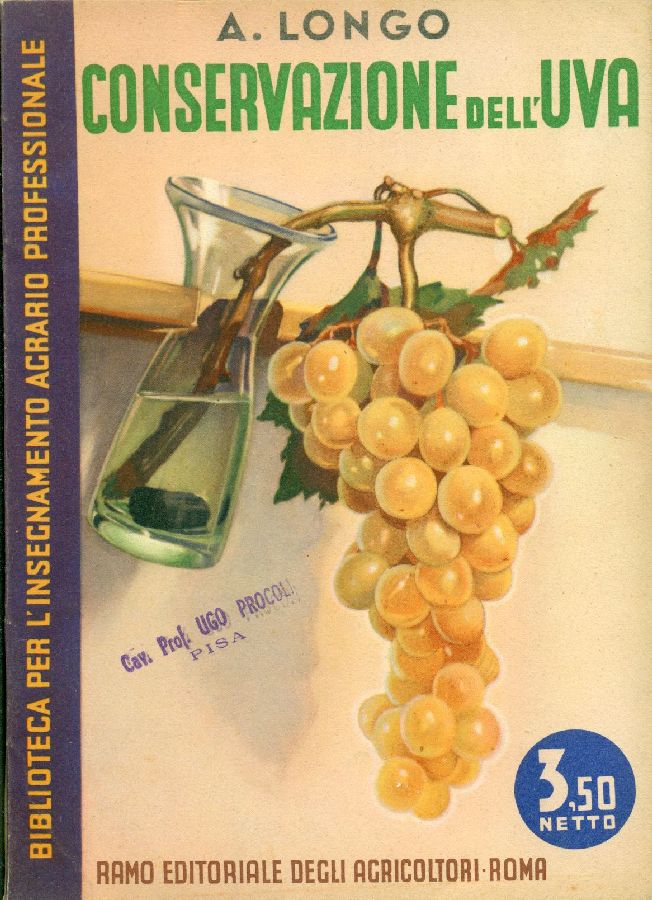 La conservazione dell'uva