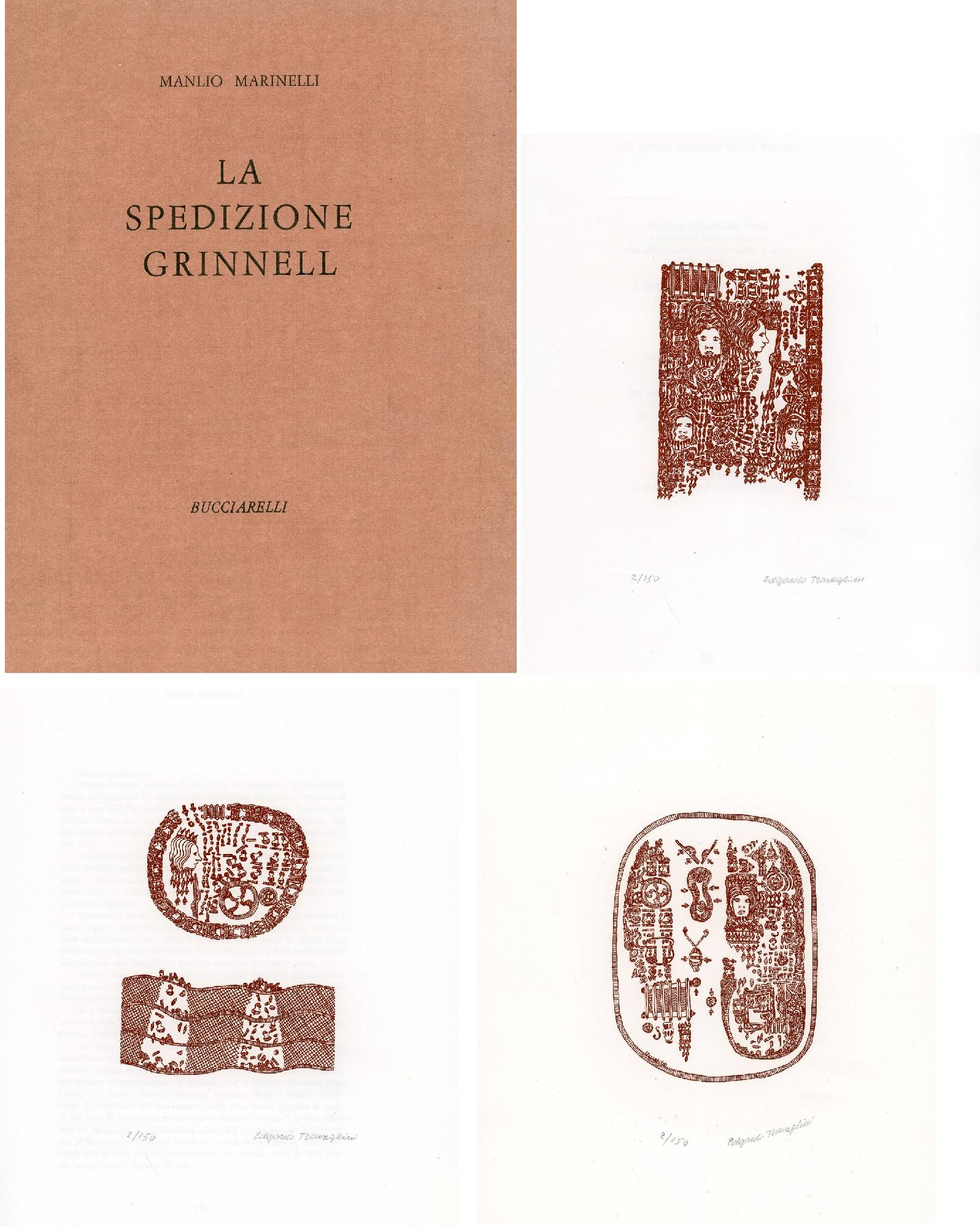 La spedizione Grinnell