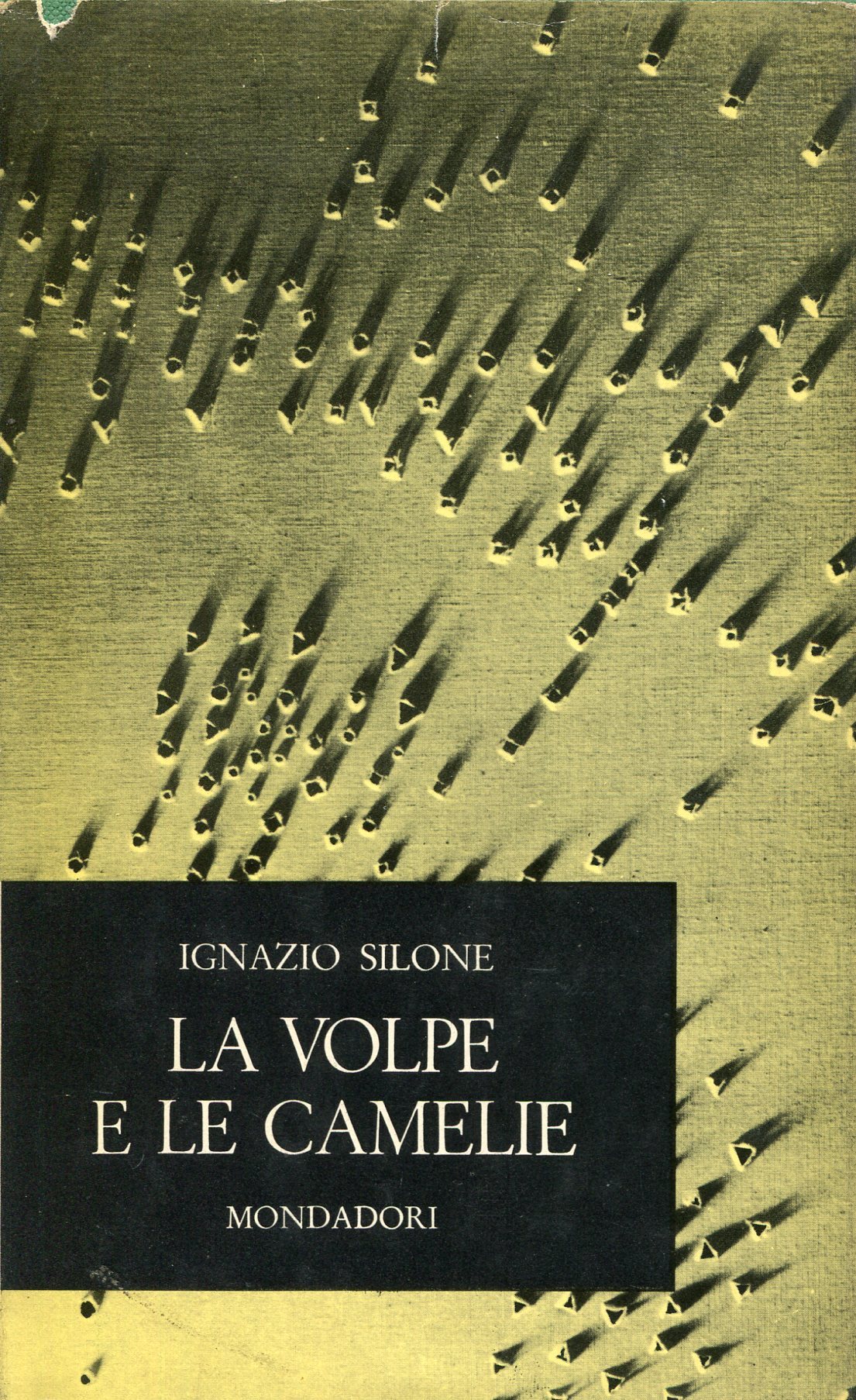 La volpe e le camelie