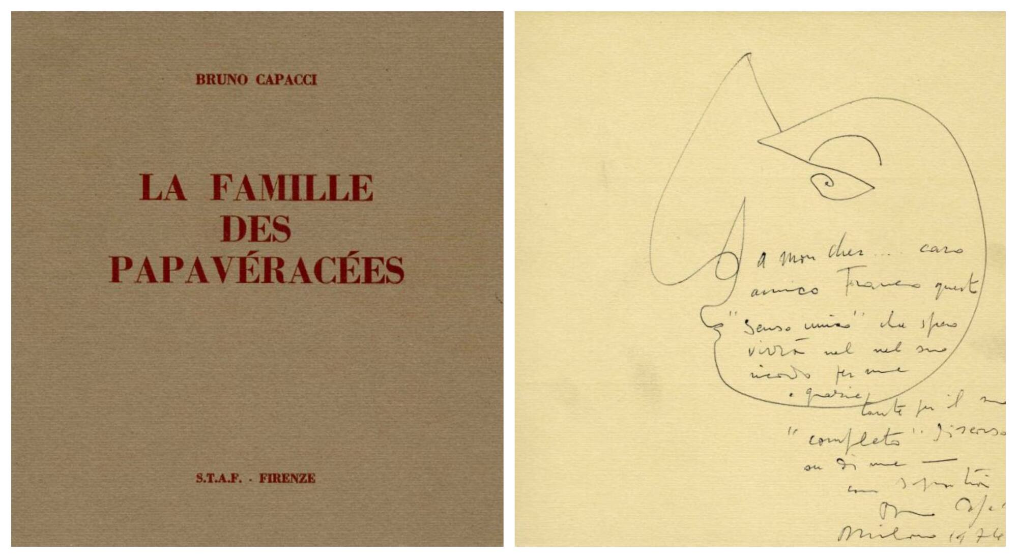 Le prontuaire analogique de la quarante-septième famille des papavéracées