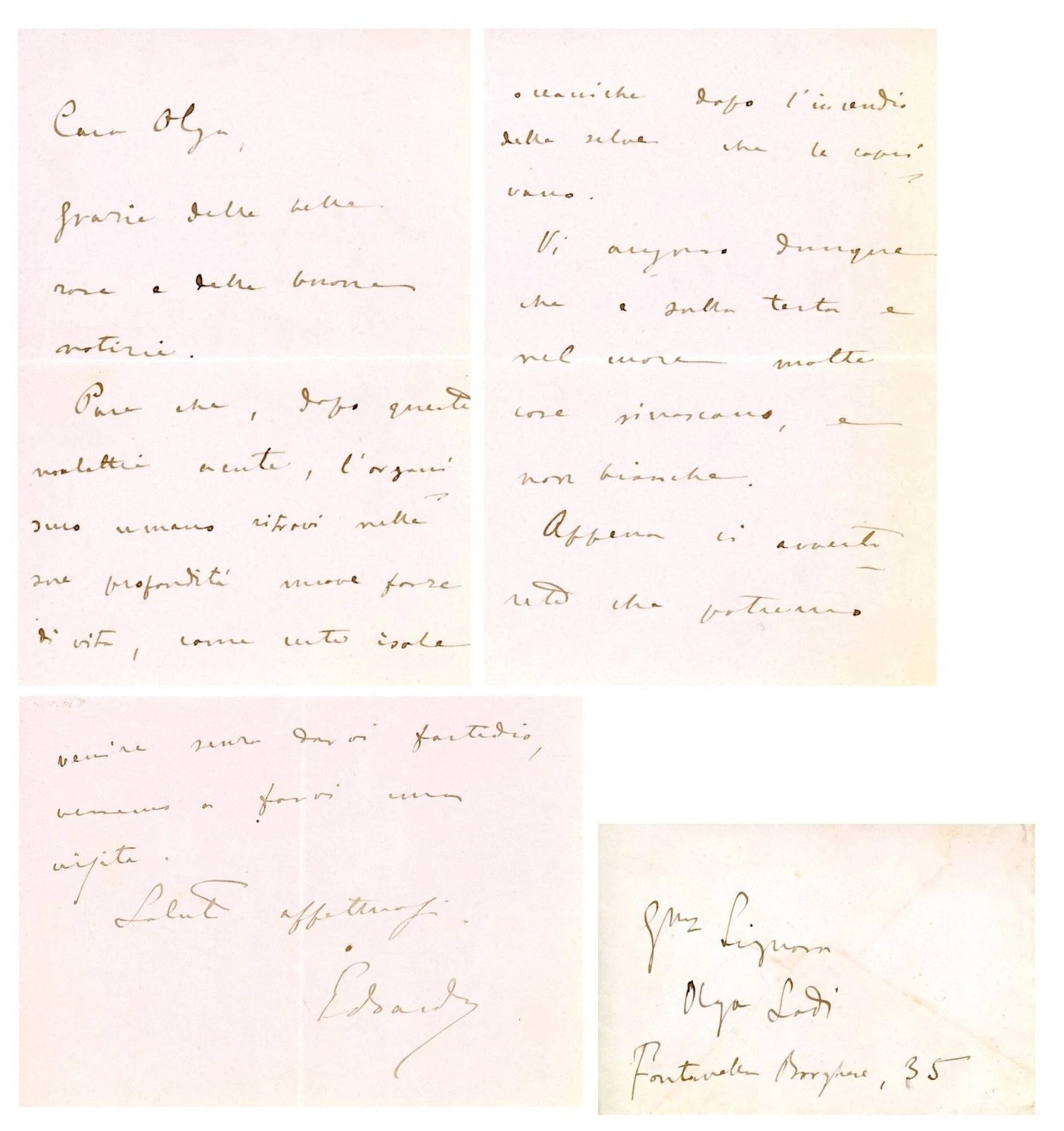 Lettera autografa indirizzata a Olga Ossani