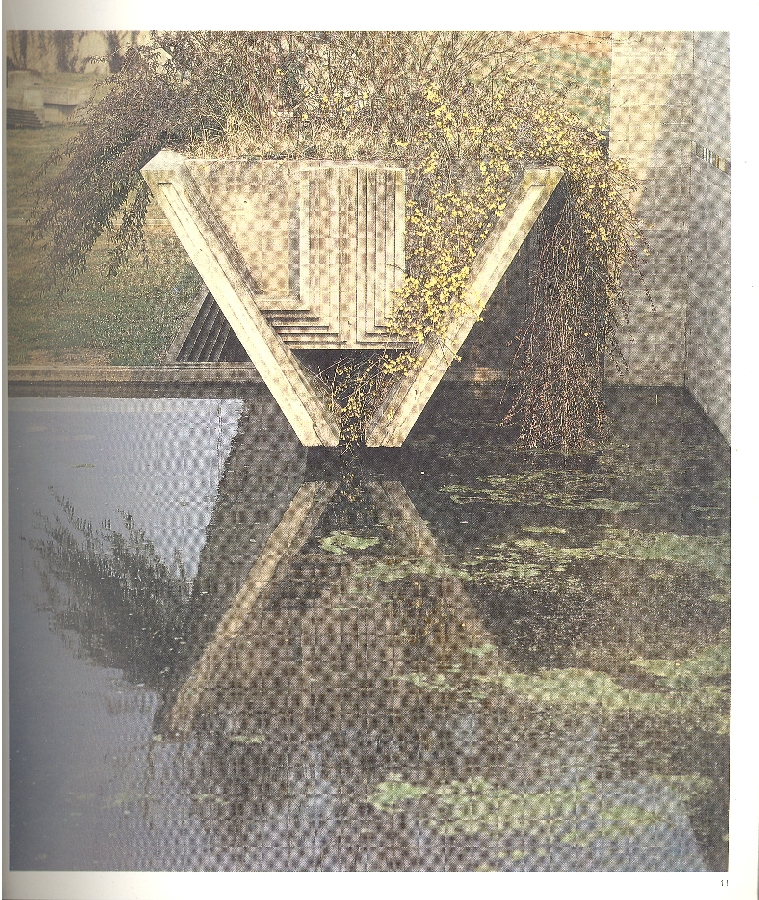 Ottagono. Numero 73 - Giugno 1984