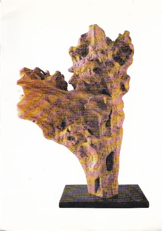 Piero Bruscoli. Dalla natura all&amp;#39;arte, dall&amp;#39;arte alla natura