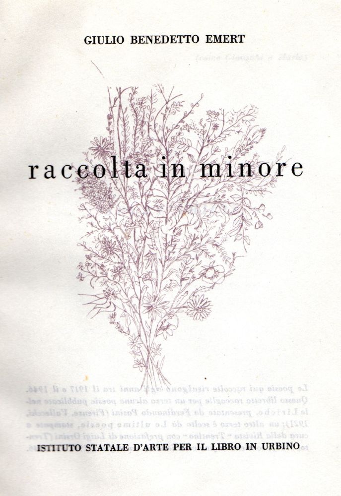 Raccolta in minore. Poesie