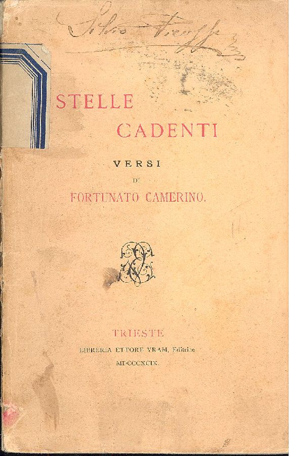 Stelle cadenti