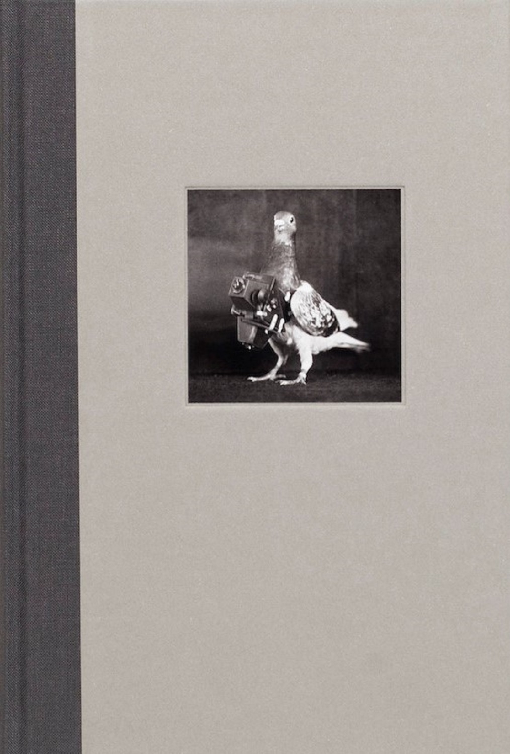 The Pigeon Photographer