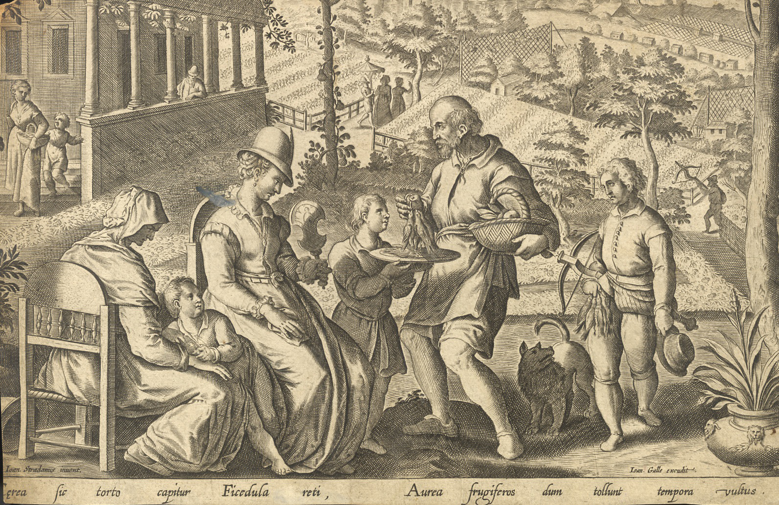 Cerea sic torto capitur Ficedula reti, Aurea frigiferos dum tollunt …