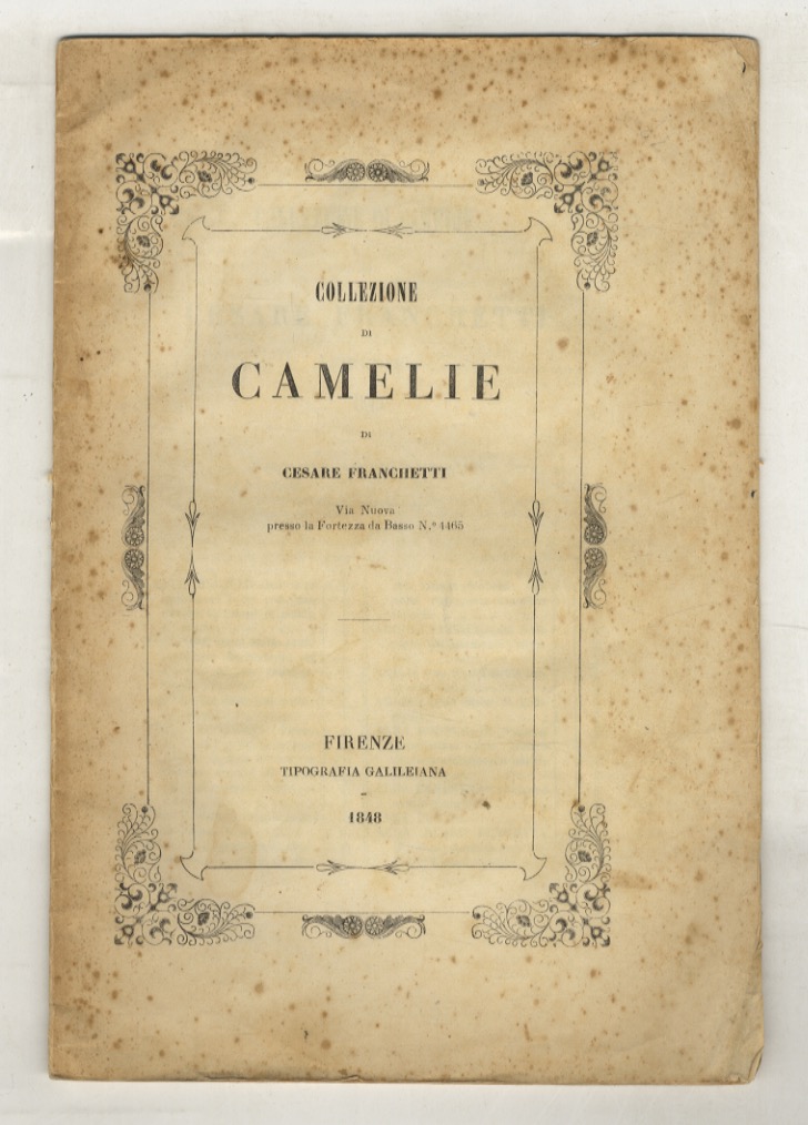 COLLEZIONE di Camelie di Cesare Franchetti. Via Nuova presso la …