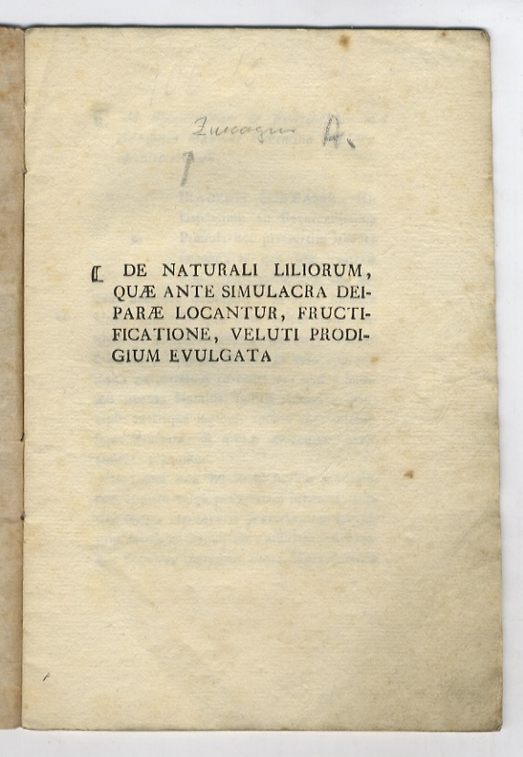De naturali liliorum, quae ante simulacra deiparae locantur, fructificatione, veluti …