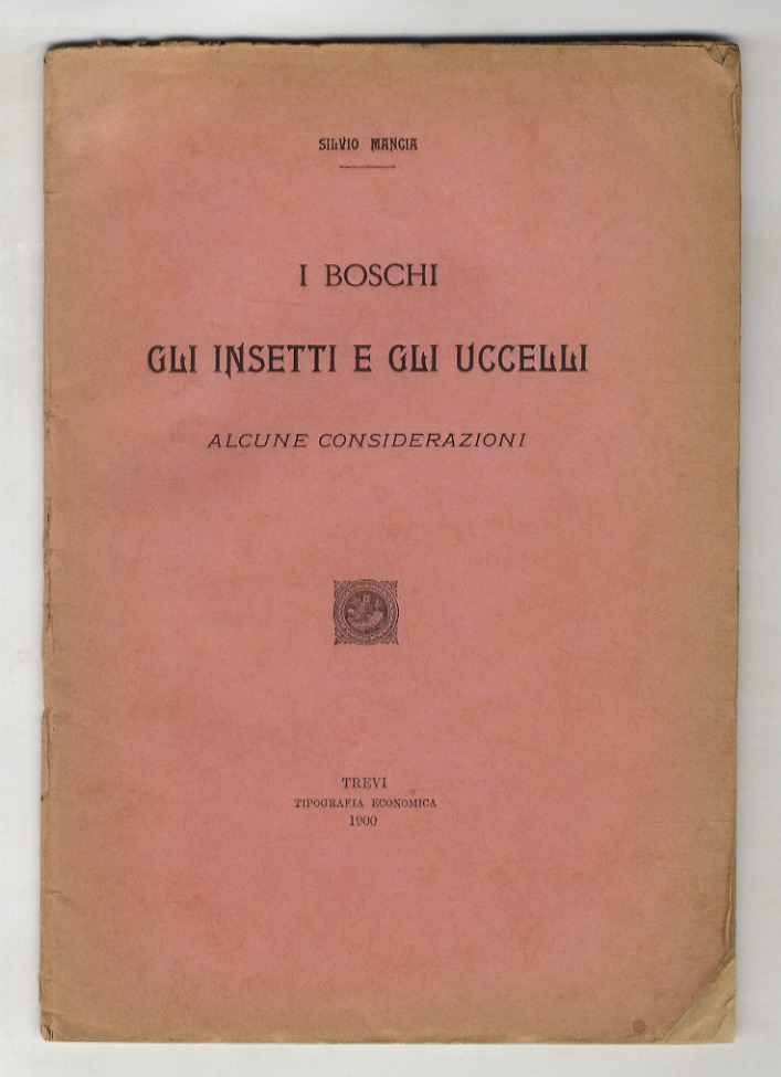 I boschi, gli insetti e gli uccelli. Alcune considerazioni.