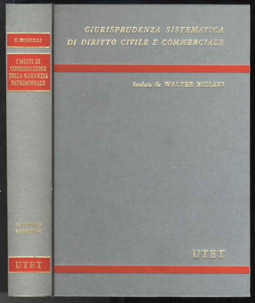 I mezzi di conservazione della garanzia patrimoniale. Seconda edizione.
