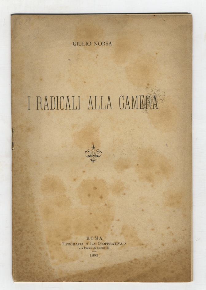 I radicali alla Camera.