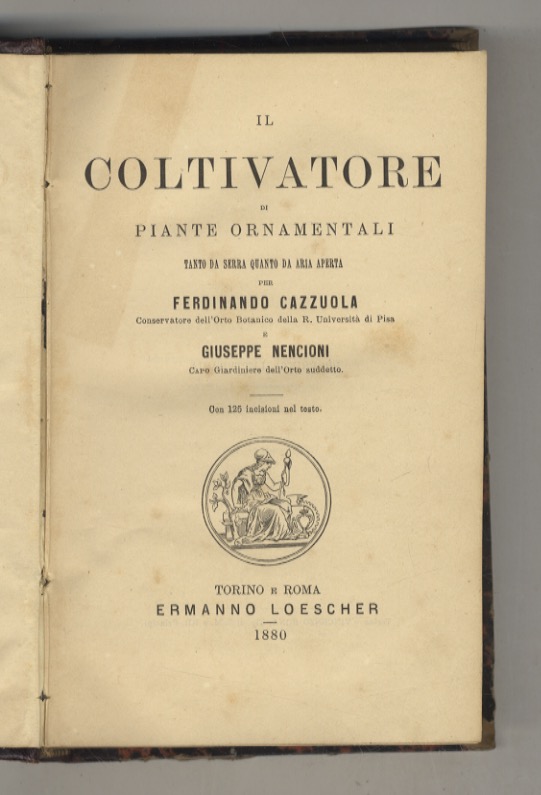 Il coltivatore di piante ornamentali tanto da serra quanto da …